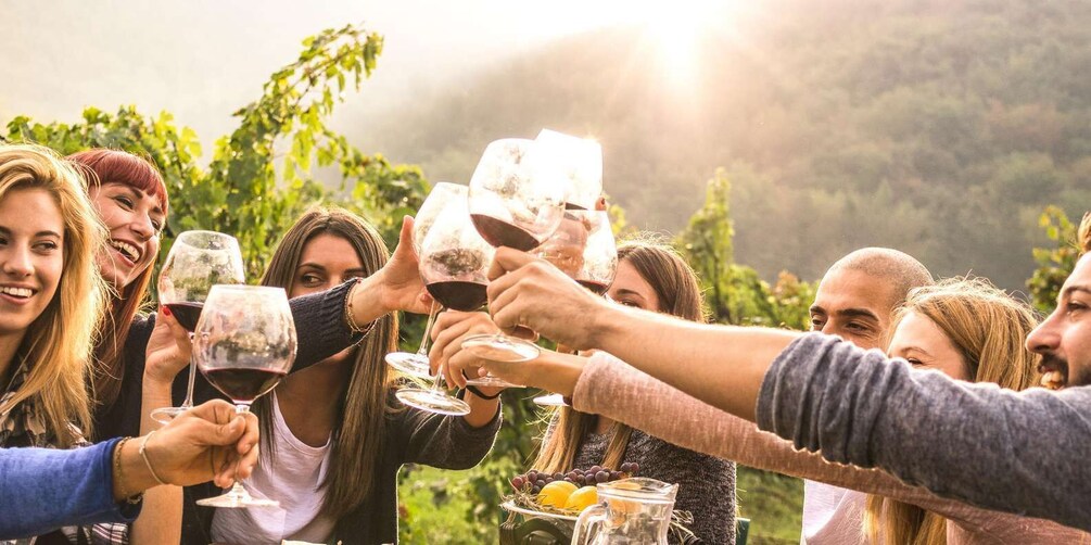 A group of people toasting with wine glasses in a vineyard setting. 1