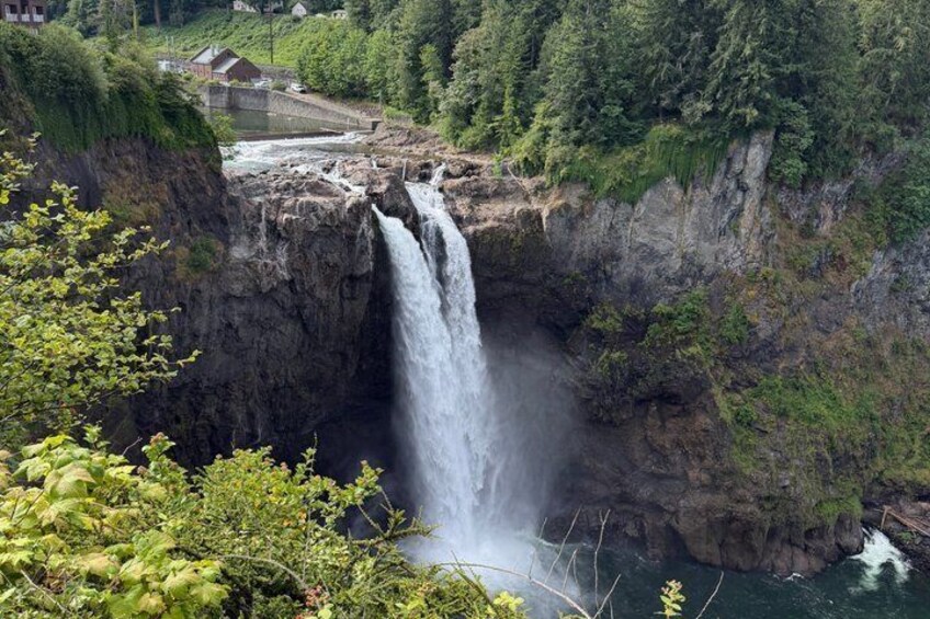 From Seattle to Snoqualmie Falls and Wineries Private Tour 4