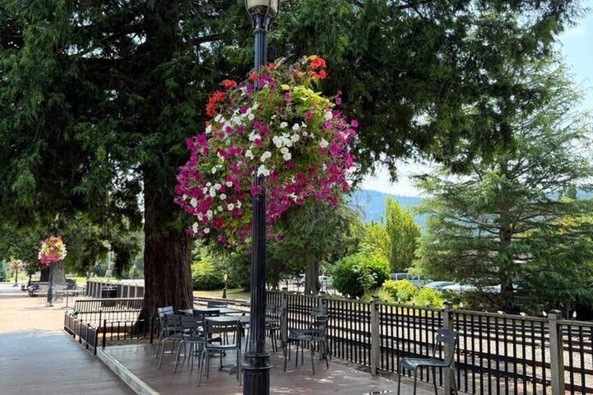 From Seattle to Snoqualmie Falls and Wineries Private Tour 2