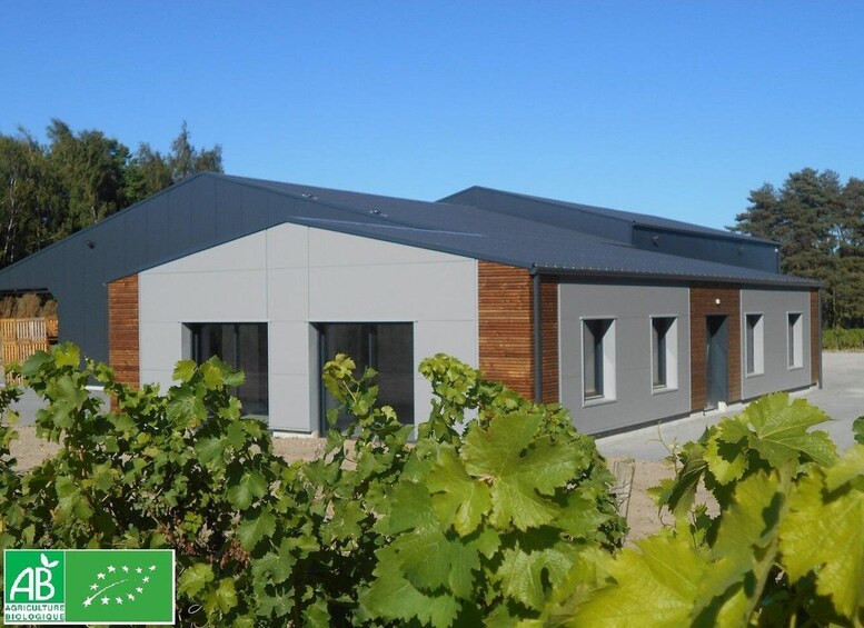 A modern building with a grey roof and wooden accents, surrounded by grapevines. 3