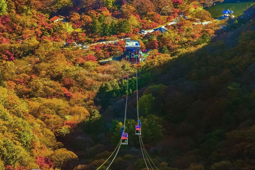 A cable car system in a forested area with autumn foliage. 4
