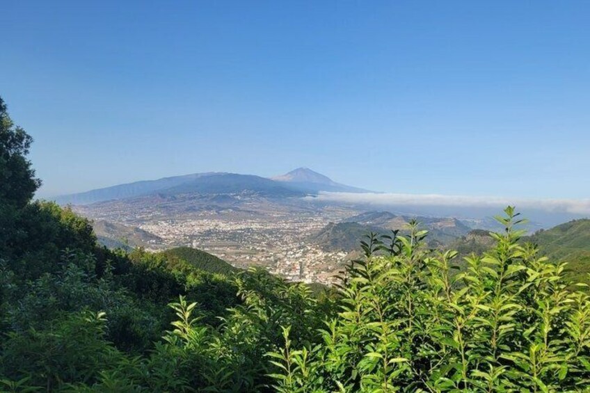 A mountain with a city in the valley below, surrounded by greenery. 1