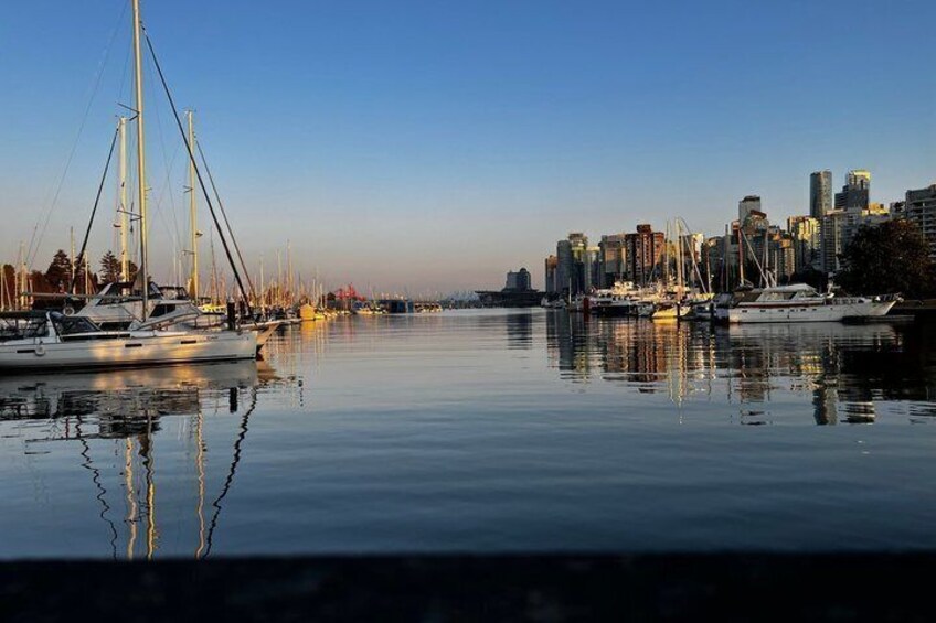 A marina with sailboats and yachts, a calm water body, and a city skyline in the background. 3