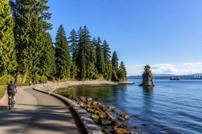 A coastal trail with a cyclist, dense evergreen trees, a rocky shoreline, and a distant ship. 2