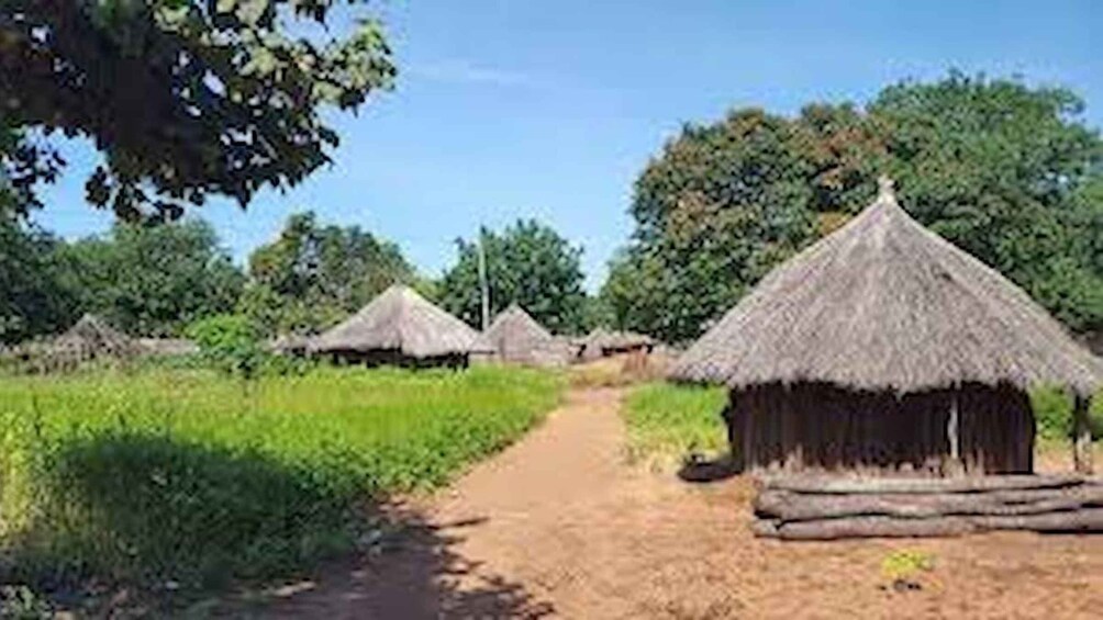 A rural path leading to thatched-roof huts surrounded by greenery. 4