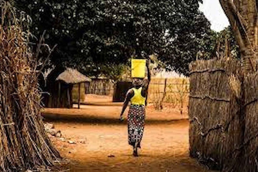 A person walking down a dirt path with a yellow object on their head, surrounded by trees and a thatched-roof structure. 5