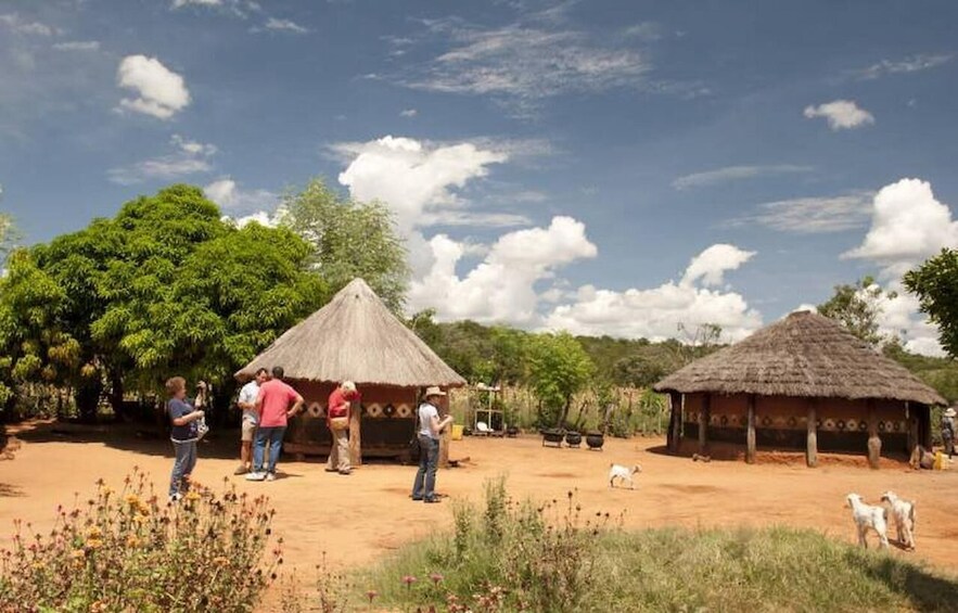 A rural setting with thatched-roof huts, people interacting, and a dog. 1