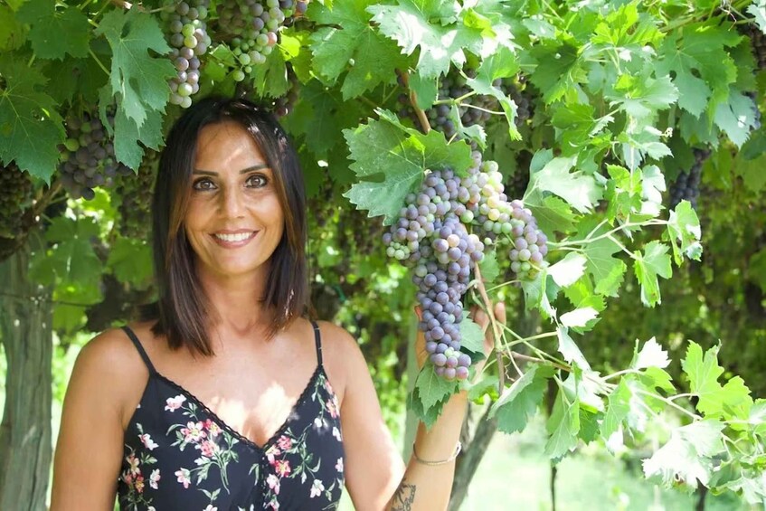 A person standing in a vineyard holding a bunch of grapes. 1