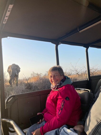 A person in a red jacket seated inside a vehicle with a view of an elephant in the background. 1