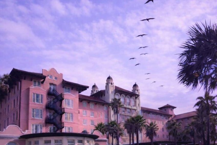 A pink building with a tower, palm trees, and birds flying in the sky. 2