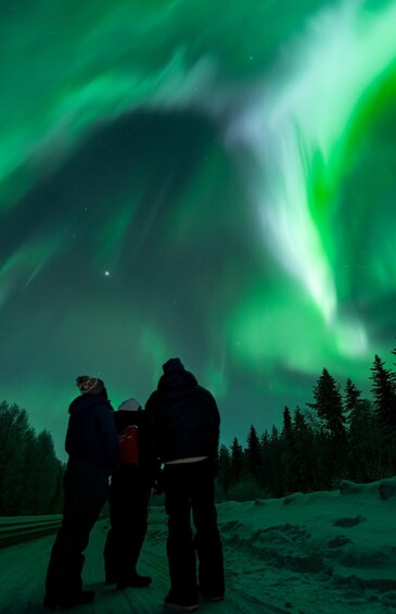 People observing the Northern Lights in a snowy forest. 5