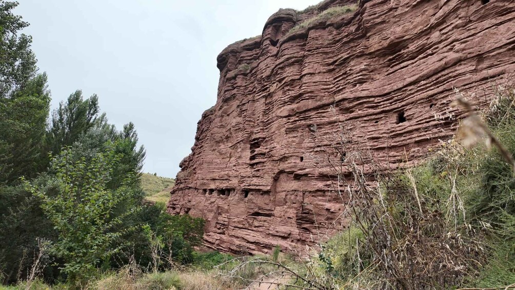 A large red rock cliff with multiple holes, surrounded by greenery and trees. 4