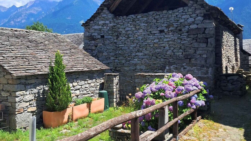 A stone building with a thatched roof, surrounded by greenery and purple flowers. 4
