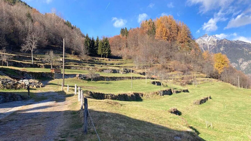 Terraced fields, a clear sky, and mountains in the background. 2