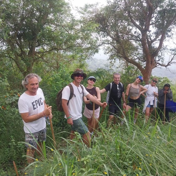 A group of hikers in a forested area with tall grass and trees. 1