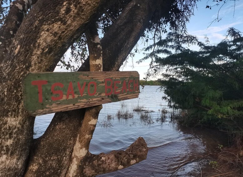 A weathered sign reading 'Tsavo Beach' attached to a tree by a body of water. 1