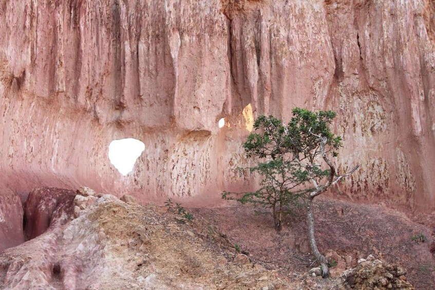 A rocky landscape with a prominent cliff and a solitary tree. 4
