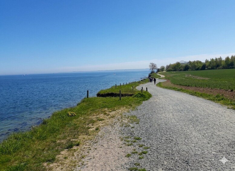 A gravel path beside a body of water, with a clear sky and greenery in the background. 5
