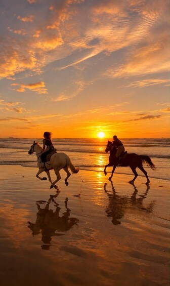 Agadir/Taghazout: Half-Day Horse Riding Tour with Lunch 1
