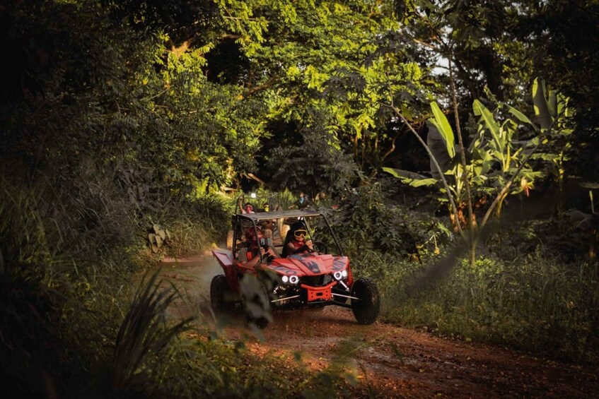 A red off-road vehicle on a dirt path surrounded by dense foliage. 4