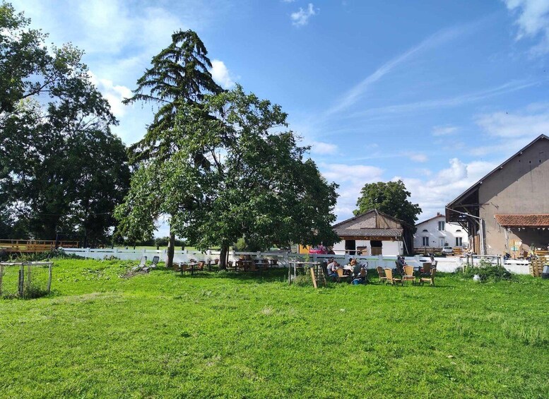A grassy area with outdoor seating, a large tree, and a building with a sloped roof. 4