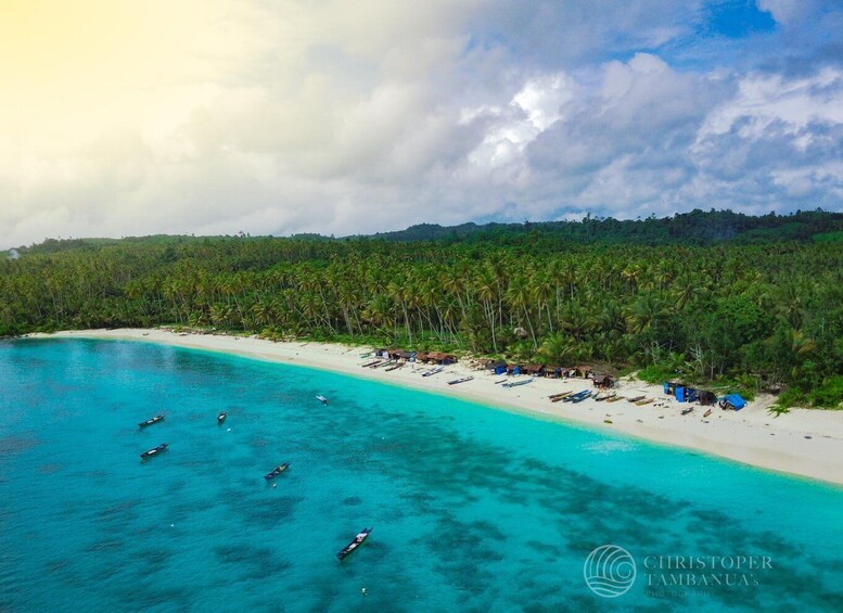 A tropical beach with clear turquoise waters, several boats, and a dense palm tree forest in the background. 4