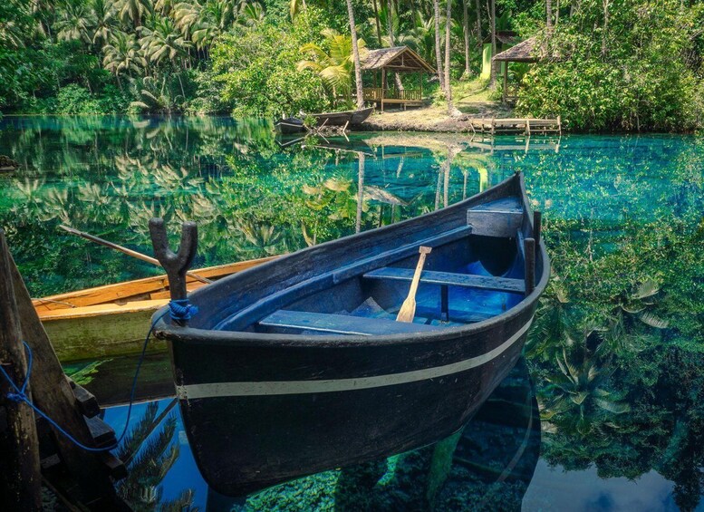 A boat tied to a dock in a tropical setting with lush greenery and clear water. 1