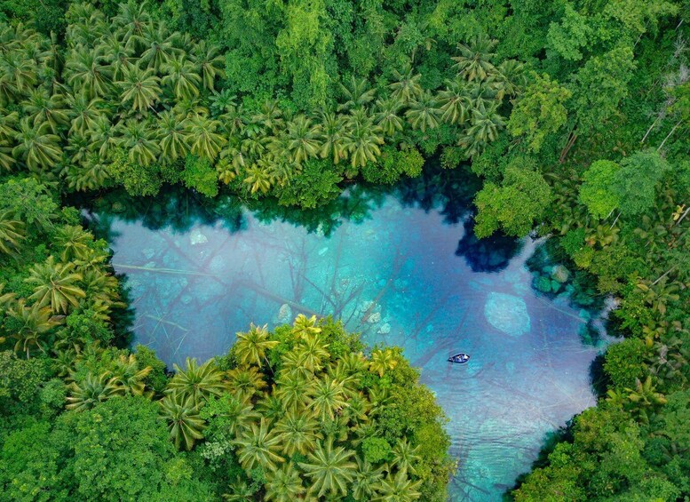 A tropical forest with a clear blue water body surrounded by dense greenery. 3