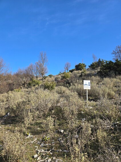 A signpost in a dry, grassy area with sparse trees and a clear blue sky. 5
