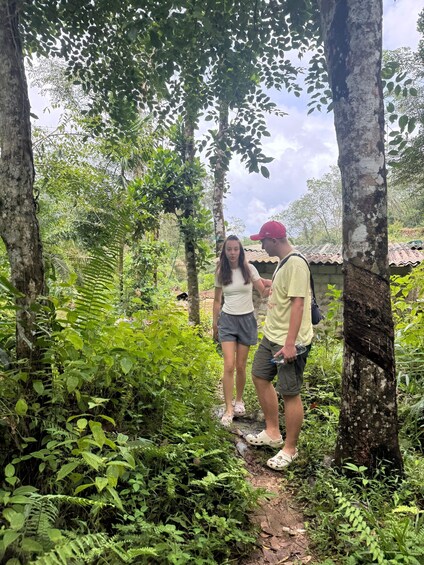 Two people standing in a forested area with trees and undergrowth. 2