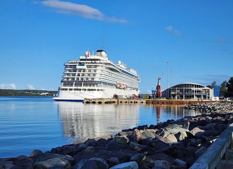 A large cruise ship docked at a pier with a rocky shoreline and a statue in the background. 1