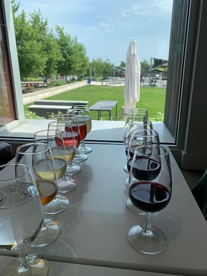 A table with wine glasses filled with various types of wine, viewed from inside a building with a window overlooking a grassy outdoor area. 3