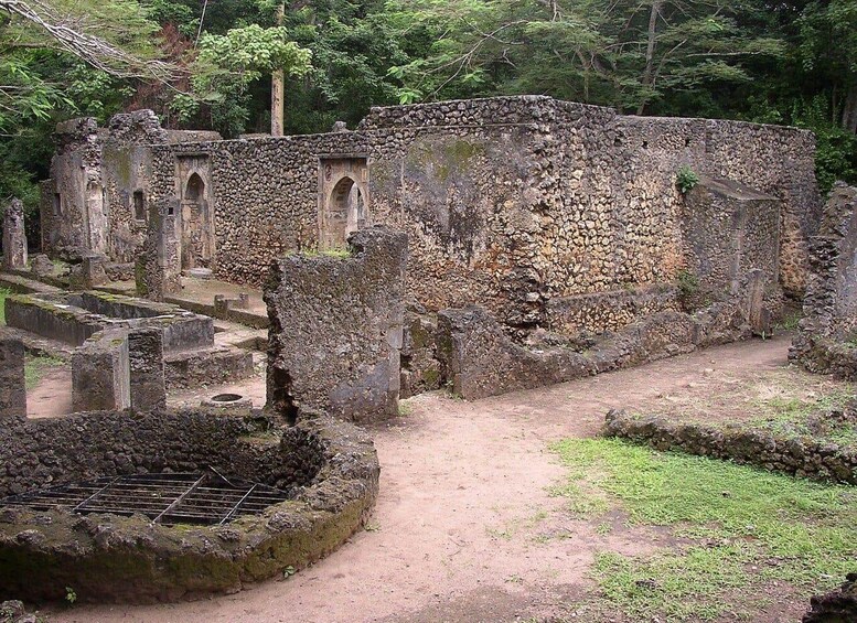 Ancient ruins with stone walls and arches, surrounded by dense forest. 5