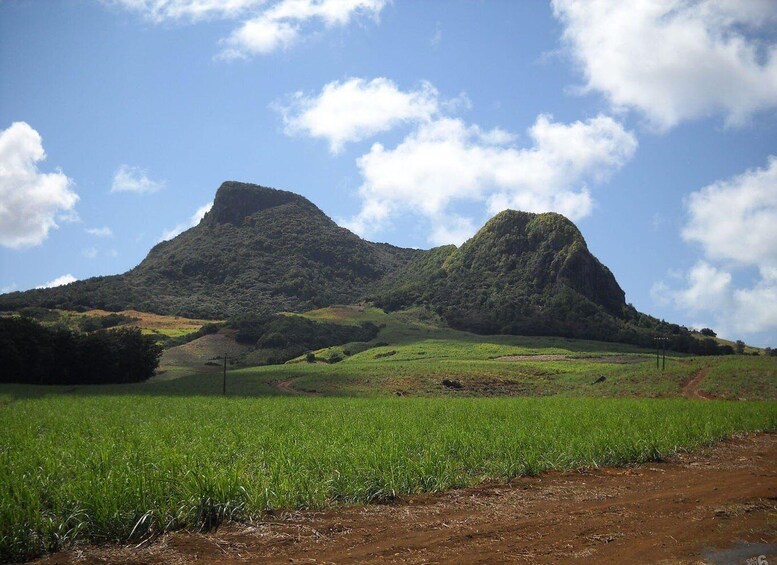 A green field with a mountain in the background. 4