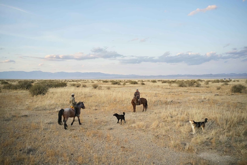 A person riding a horse in a dry grass field with mountains in the background. 2