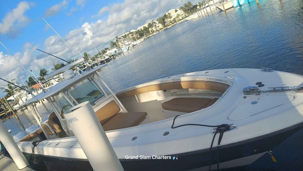 A boat docked at a marina with a clear sky and palm trees in the background. 2