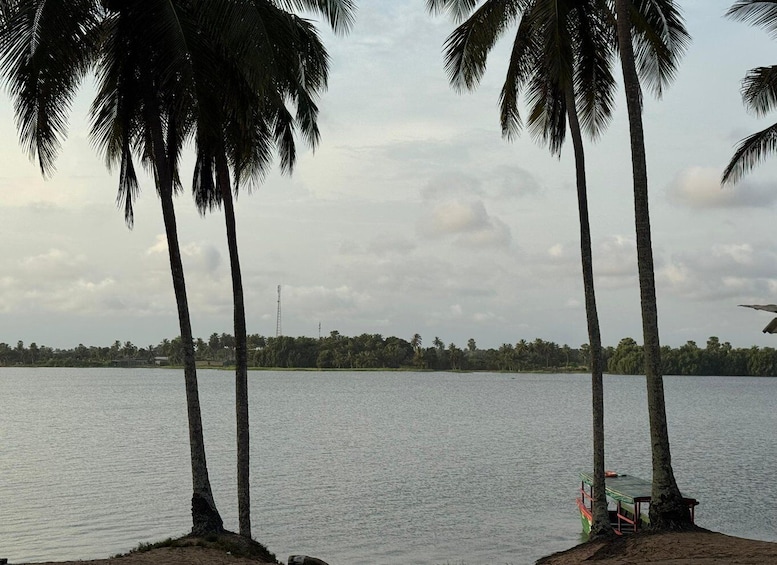 A calm lake with palm trees and a distant shoreline. 5