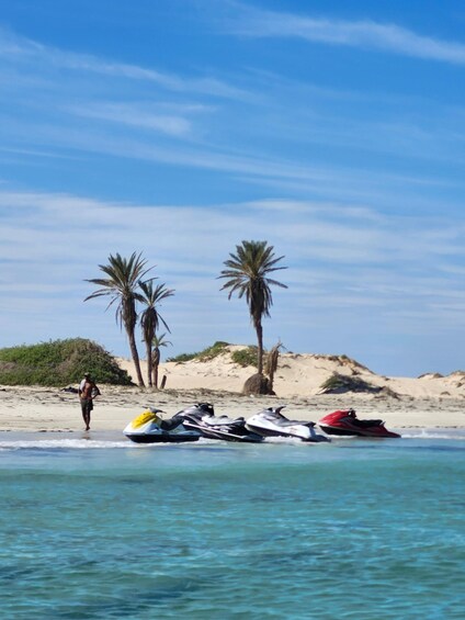 A beach with palm trees, a person walking, and jet skis parked on the sand. 5