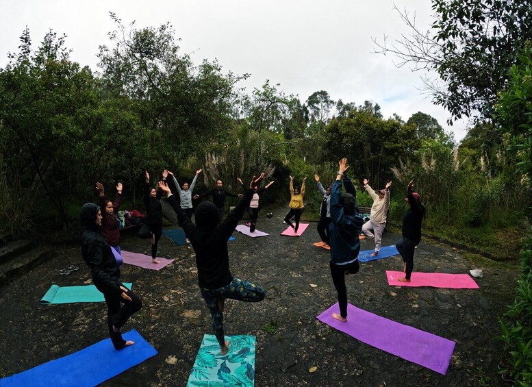 A group of people performing yoga outdoors on mats. 4