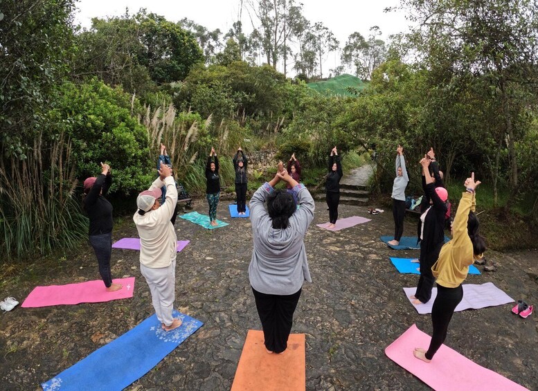 A group of people performing yoga outdoors on mats. 1