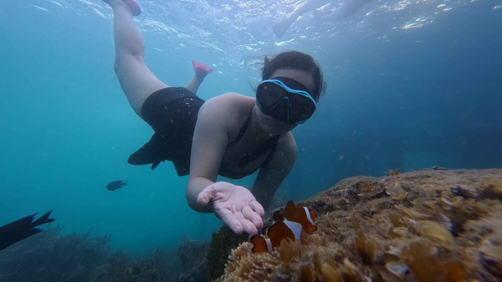 A person snorkeling underwater, reaching out towards a coral formation. 5