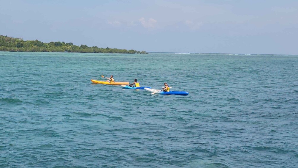 Three kayaks on calm water with a distant shoreline. 4