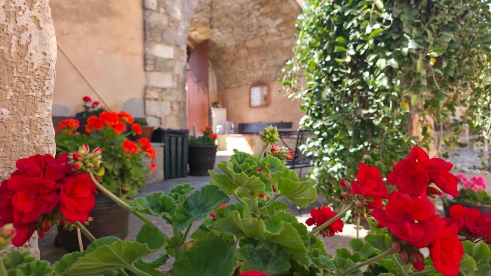 A courtyard with red geraniums, a stone wall, and a potted plant. 4