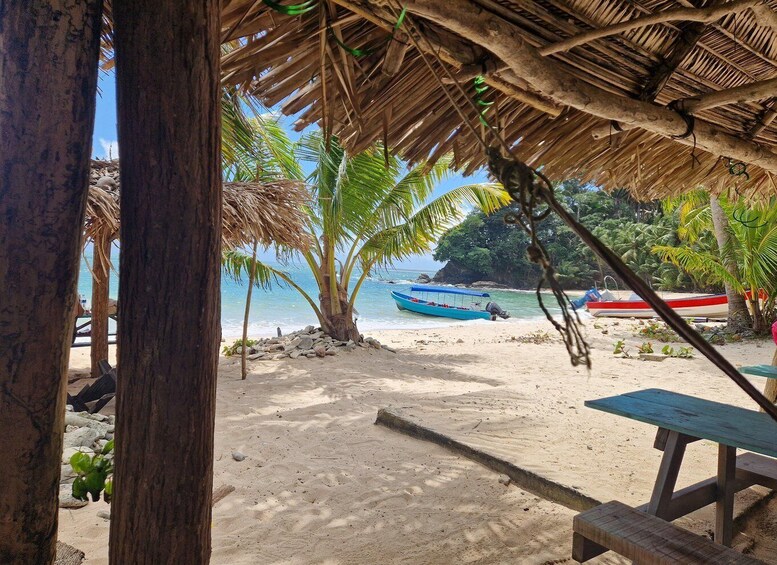 A beach with a thatched roof structure, palm trees, and a wooden bench. 3