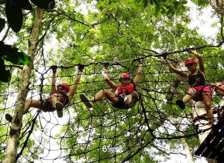 Three people rappelling down a netted obstacle course in a forest. 2