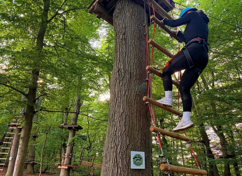 A person climbing a tree with a rope ladder. 4