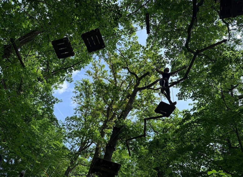 A person zip-lining through a forest with multiple platforms. 2