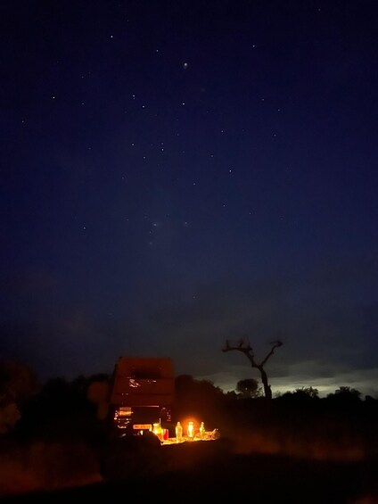 A house with lights on at night, a tree, and stars in the sky. 3