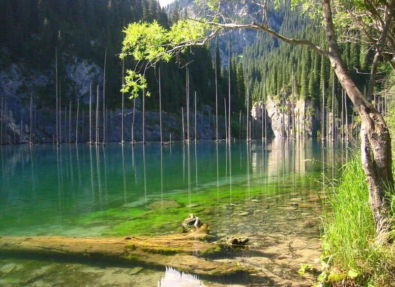 A clear lake surrounded by trees and rocky terrain. 4