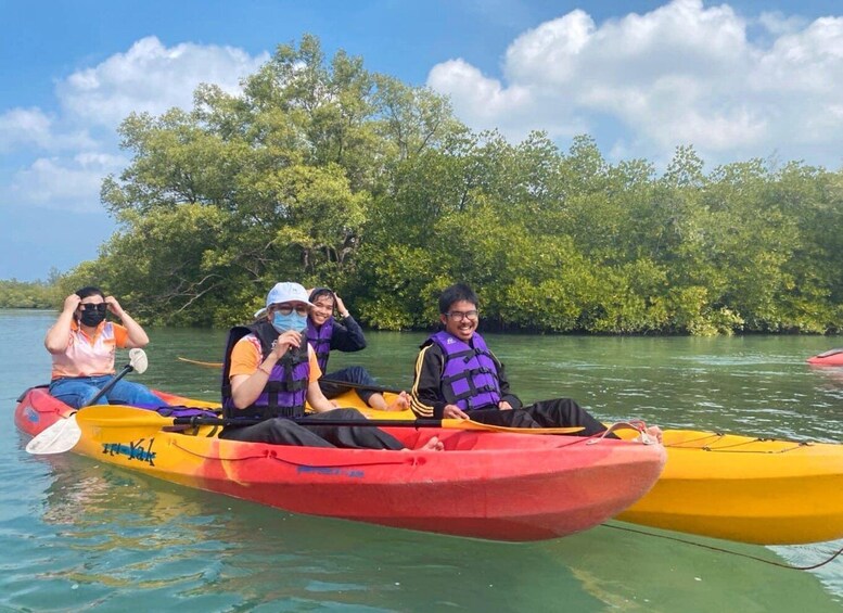 A group of people kayaking on a calm river surrounded by mangrove trees. 3